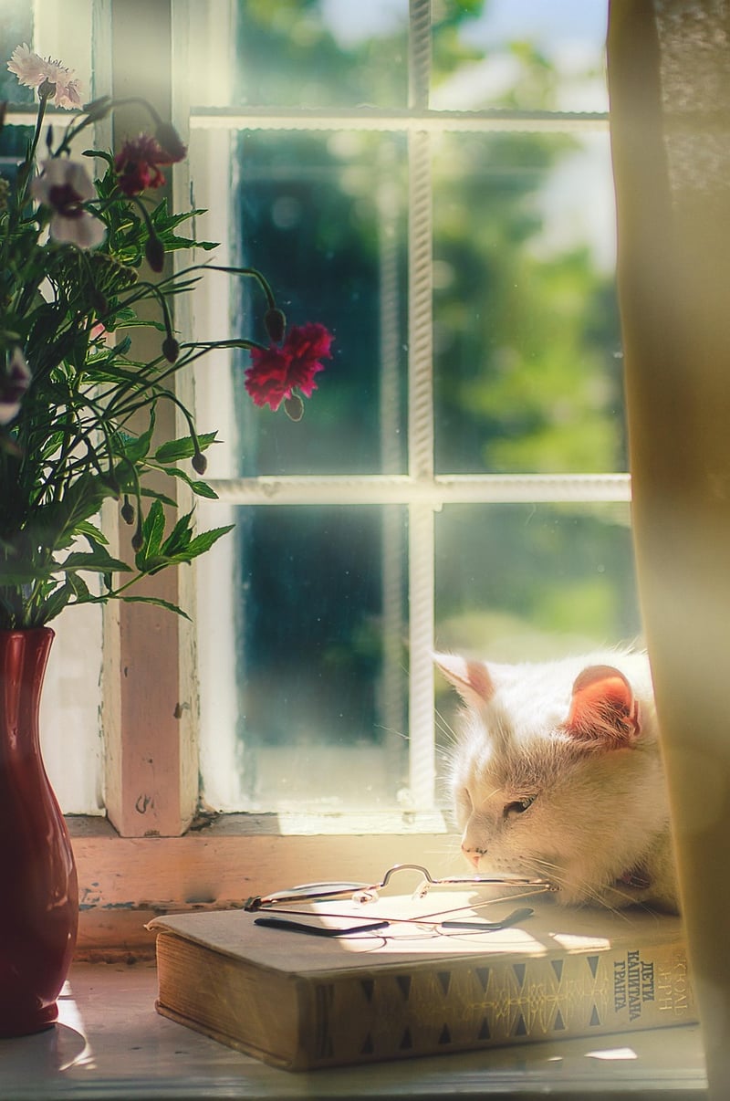 Minimalist Bliss