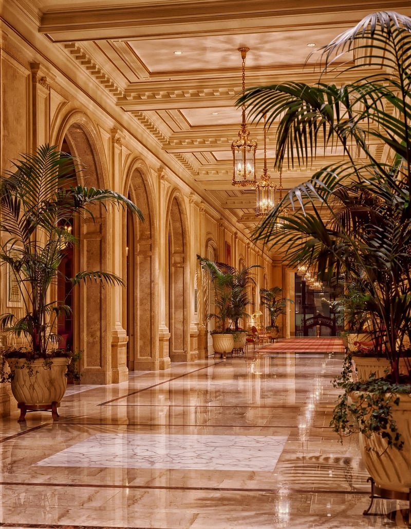 Opulent Extravaganza
